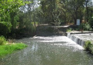 Catchment management | Updated river management plan for Stellenbosch Municipality | JG Afrika