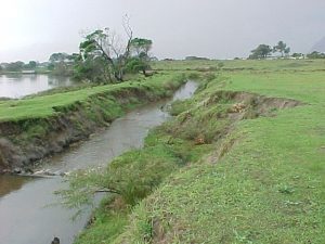 Sand River drainage basin Catchment Management Plan | JG Afrika