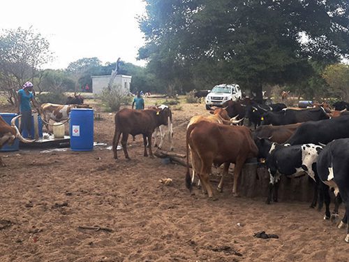 Community standpipe and cattle watering trough at Munyu, KwaZulu-Natal | JG Afrika