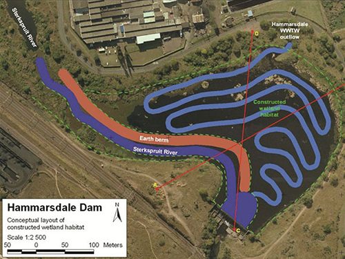 Hammarsdale Dam labyrinth wetland system which will replace the ecoservices supplied by the water hyacinth | JG Afrika